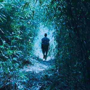 Bilder The Dust Of Modern Life