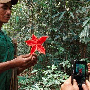 Bilder The Dust Of Modern Life