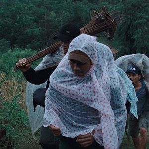 Bilder The Dust Of Modern Life