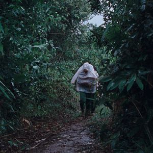 Bilder The Dust Of Modern Life