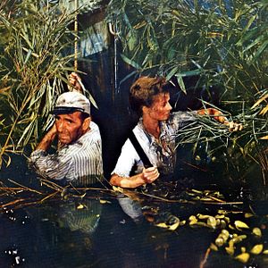 Bilder African Queen