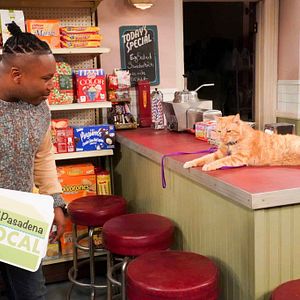 Bilder The Neighborhood