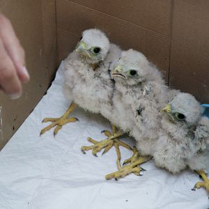 Bilder Vogelperspektiven