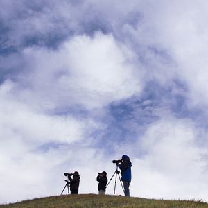 Bilder Vogelperspektiven