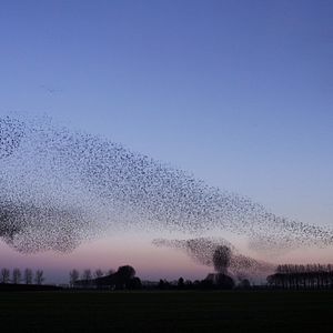 Bilder Vogelperspektiven