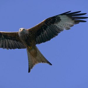 Bilder Vogelperspektiven