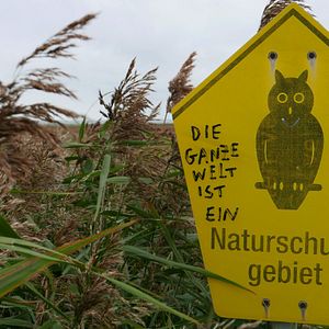 Bilder Vogelperspektiven