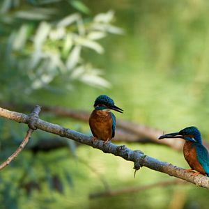 Bilder Vogelperspektiven