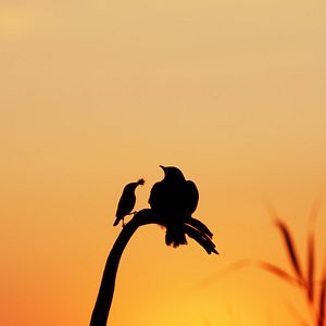 Bilder Vogelperspektiven