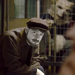 Bilder The Ordinaries