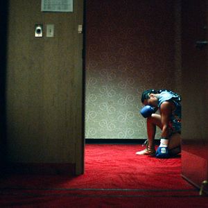 Bilder Catch The Fair One - Von der Beute zum Raubtier