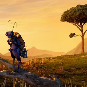 Bilder Guillermo Del Toros Pinocchio