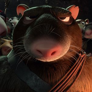 Bilder Maurice, der Kater