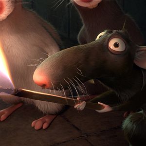 Bilder Maurice, der Kater