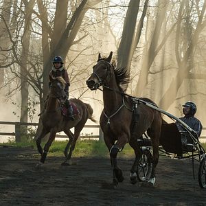 Bilder Charlie Paulet