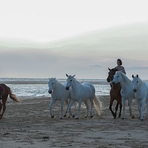 Bilder Carmen Kassovitz