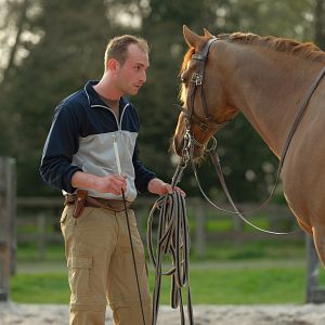 Bilder Kacey Mottet Klein