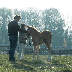 Bilder Charlie Paulet