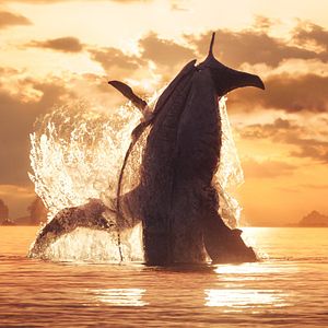 Bilder Avatar 2: The Way Of Water