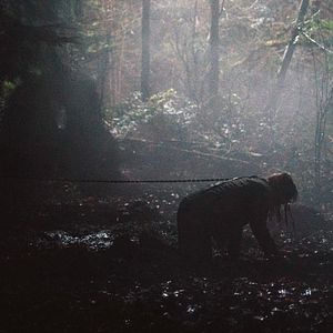 Bilder Mandrake - Wurzel des Bösen