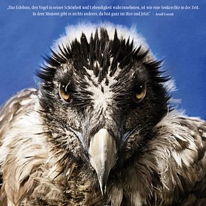 Bilder Vogelperspektiven