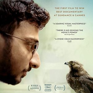 Bilder All That Breathes