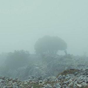 Bilder Die geheime Tochter