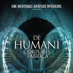 Bilder De Humani Corporis Fabrica