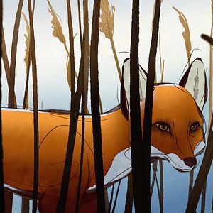 Bilder Der Junge, der Maulwurf, der Fuchs und das Pferd