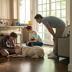 Bilder Johnny Berchtold