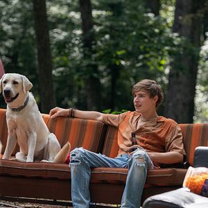 Bilder Johnny Berchtold