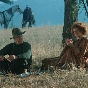 Bilder Der graue Fuchs