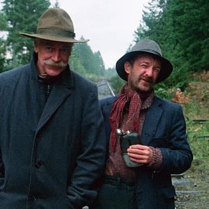 Bilder Der graue Fuchs