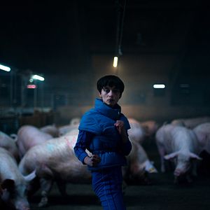 Bilder Copenhagen Cowboy