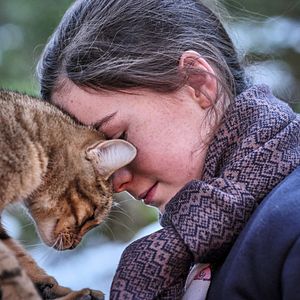 Bilder Capucine Sainson-Fabresse