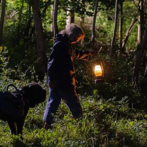 Bilder Lou - Abenteuer auf Samtpfoten