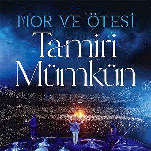 Bilder Mor ve Ötesi - Tamiri Mümkün