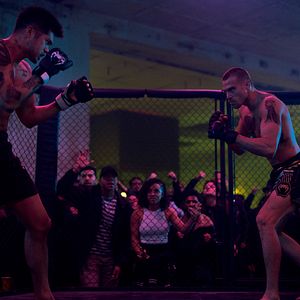 Bilder Matthew Noszka