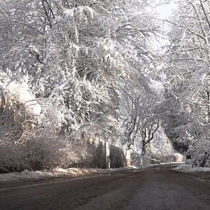 Bilder The Story of Looking