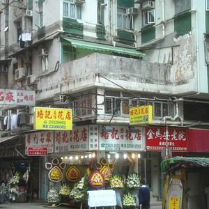 Bilder The Story of Looking