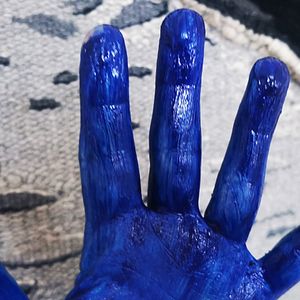 Bilder The Story of Looking