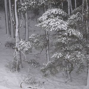 Bilder The Story of Looking