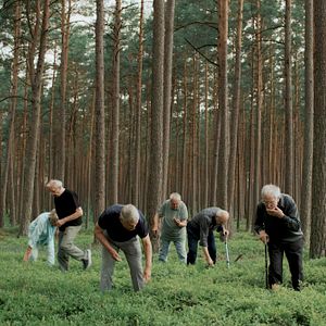 Bilder Acht Geschwister