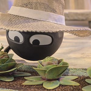 Bilder Die Insel der Formen