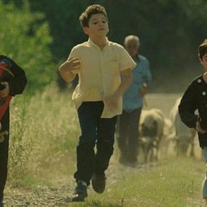 Bilder Her Şeye Rağmen