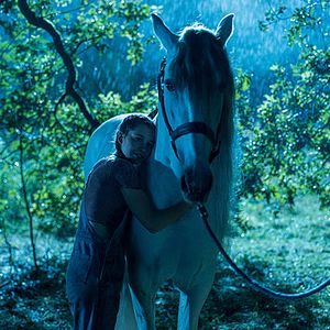 Bilder Silverstar - Eine Freundschaft für die Ewigkeit