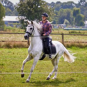 Bilder Silverstar - Eine Freundschaft für die Ewigkeit