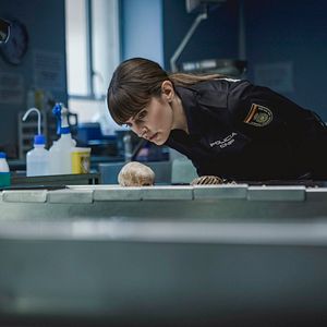 Bilder Die Spur der Knochen