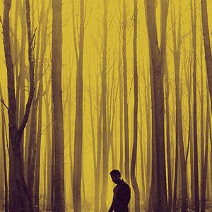 Bilder Among The Beasts