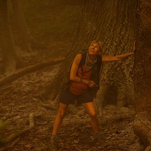 Bilder Extrapolations